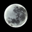 Modern Moon Shaped Wall Light