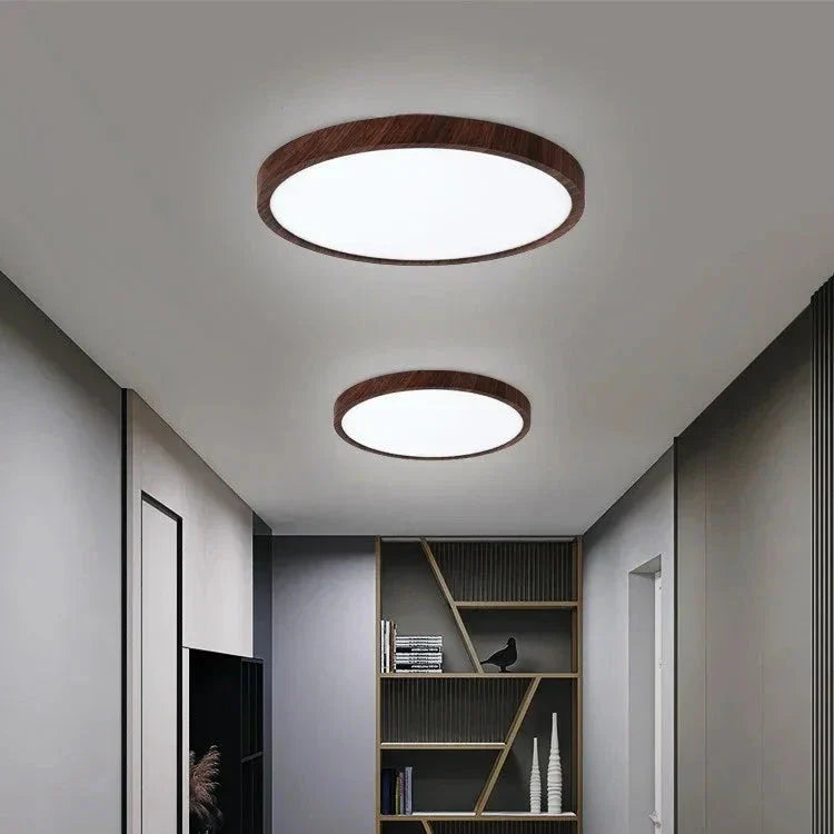 Modern Circular Ceiling Light