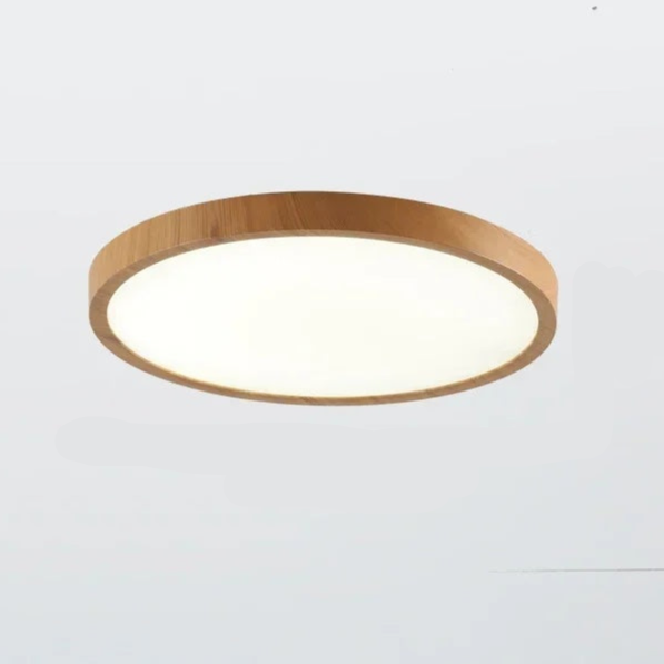 Modern Circular Ceiling Light