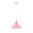Modern Pendant Light Dome for Kitchen