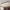 Ceiling Lights Flush Mount With Wood Accent Oval Shape Led